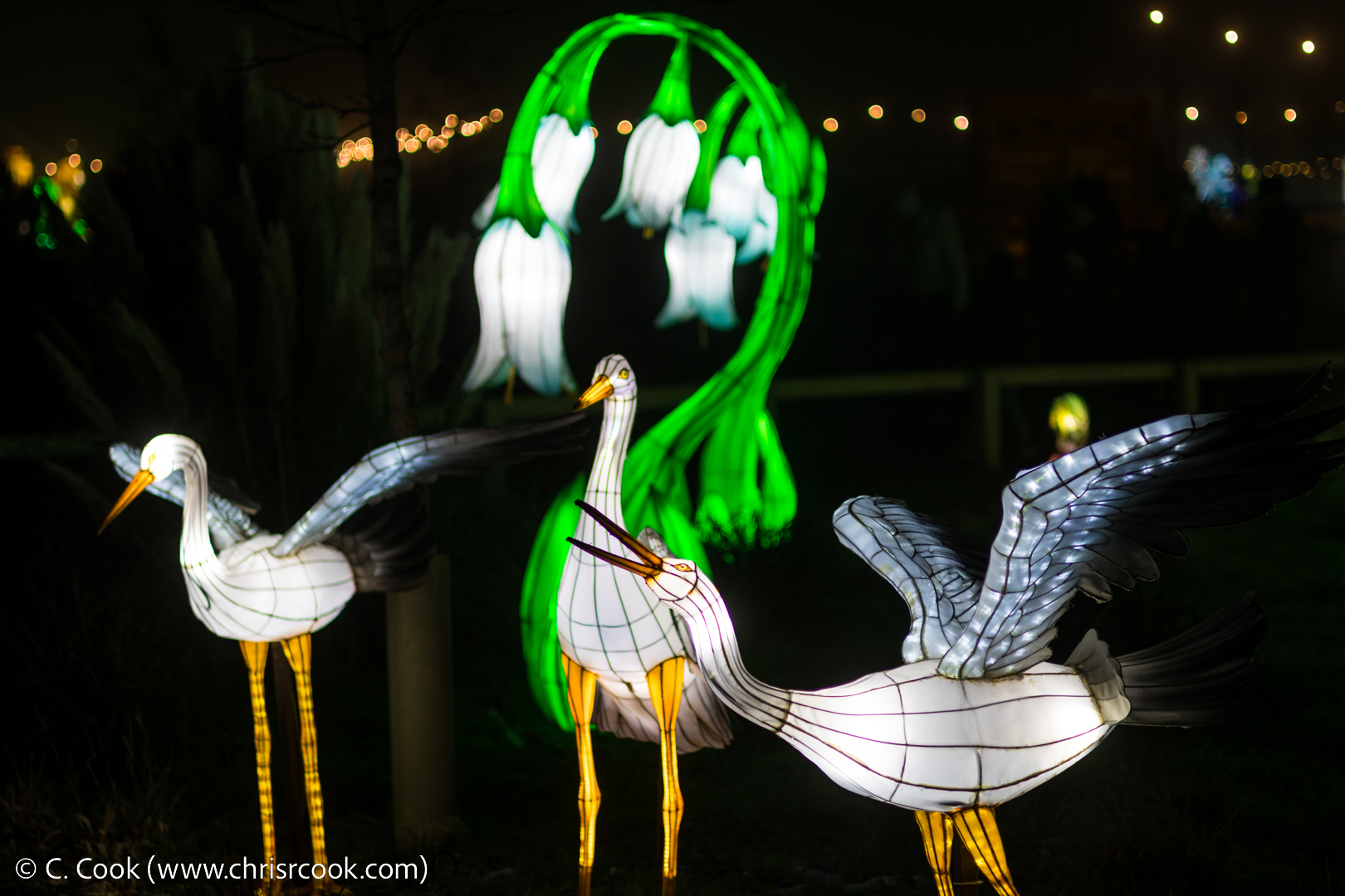 Yorkshire Wildlife Park