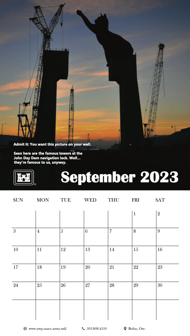 September 2023; A giant kitty molests a crane.