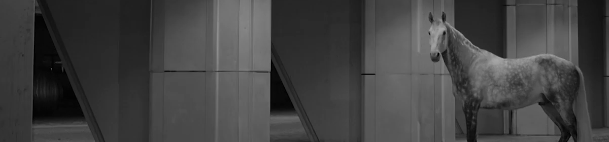 Cornered Star / Melanie Manchot (2018)