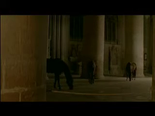 Stable / Kathleen Herbert (2007)
